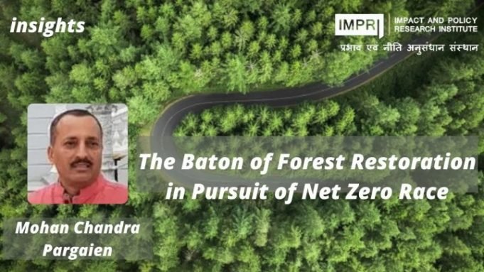 The Baton of Forest Restoration in Pursuit of Net Zero Race – IMPRI Impact and Policy Research Institute The Baton of Forest Restoration in Pursuit of Net Zero Race - IMPRI Impact and Policy Research Institute