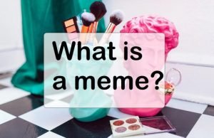 What is a meme and how to make it? – IMPRI Impact and Policy Research Institute What is a meme and how to make it? - IMPRI Impact and Policy Research Institute
