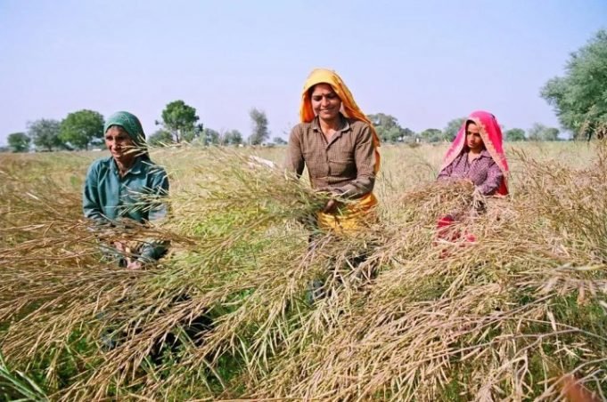 Employment, Livelihoods, and Union Budget 2022-23 – IMPRI Impact and Policy Research Institute Employment, Livelihoods, and Union Budget 2022-23 - IMPRI Impact and Policy Research Institute