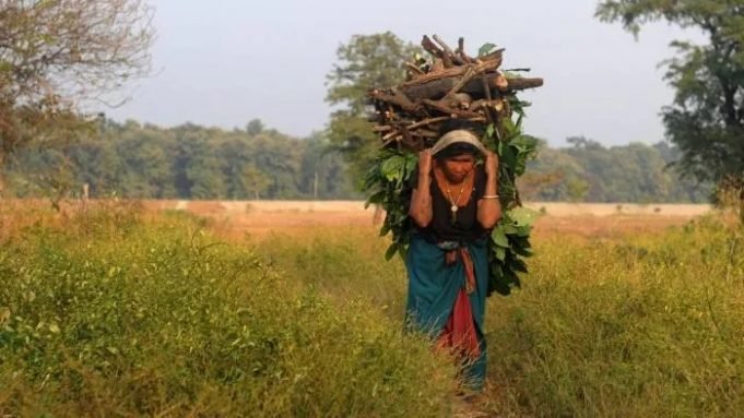 Rural Realities and Union Budget 2022-23 – IMPRI Impact and Policy Research Institute Rural Realities and Union Budget 2022-23 - IMPRI Impact and Policy Research Institute