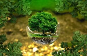 Environmental Governance in India – IMPRI Impact and Policy Research Institute The Environment and Union Budget 2022-23 - IMPRI Impact and Policy Research Institute