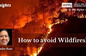 How to avoid Wildfires? – IMPRI Impact and Policy Research Institute How to avoid Wildfires? - IMPRI Impact and Policy Research Institute