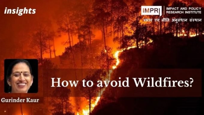 How to avoid Wildfires? – IMPRI Impact and Policy Research Institute How to avoid Wildfires? - IMPRI Impact and Policy Research Institute