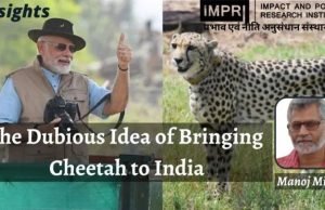 The Dubious Idea of Bringing Cheetah to India – IMPRI Impact and Policy Research Institute The Dubious Idea of Bringing Cheetah to India - IMPRI Impact and Policy Research Institute