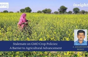 Stalemate On GMO Crop Policies: A Barrier To Agricultural Advancement C fun. 11zon
