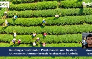 Building A Sustainable Plant-Based Food System: A Grassroots Journey Through Fatehgarh And Ambala – IMPRI Impact And Policy Research Institute Sustainable food based plants