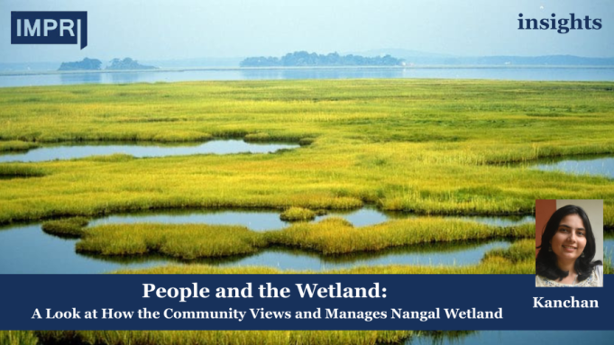 People And The Wetland: A Look At How The Community Views And Manages Nangal Wetland – IMPRI Impact And Policy Research Institute Wetlands