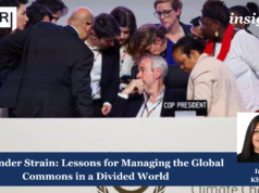 COP Under Strain: Lessons For Managing The Global Commons In A Divided World – IMPRI Impact And Policy Research Institute Copy of Insights 4