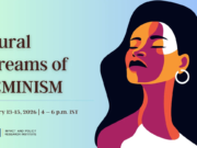 Participants List & Details: Plural Streams Of Feminism – IMPRI Impact And Policy Research Institute 1