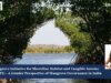 Mangrove Initiative For Shoreline Habitat And Tangible Income (MISHTI) – A Gender Perspective Of Mangrove Governance In India (2026) PUposting2