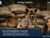 Beyond Population Control: Evaluating The Effectiveness Of India’s Animal Birth Control (ABC) Rules, 2023. image 19 5 optimized 200 e1786196278240