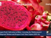 Dragon Fruit Cultivation In Bihar : Assessing The Mukhyamantri Bagwani Mission And Dragon Fruit Vikas Yojana , 2025 -26 manisha 1
