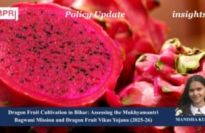 Dragon Fruit Cultivation In Bihar : Assessing The Mukhyamantri Bagwani Mission And Dragon Fruit Vikas Yojana , 2025 -26 manisha 1