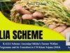 KALIA Scheme: Assessing Odisha’s Farmer Welfare Programme And Its Transition To CM Kisan Yojana image 11 4 optimized e1785702874952