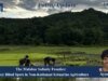 The Malabar Salinity Frontier: Policy Blind Spots In Non-Kuttanad Estuarine Agriculture IMG 20260813 WA0020.jpg