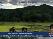 The Malabar Salinity Frontier: Policy Blind Spots In Non-Kuttanad Estuarine Agriculture IMG 20260813 WA0020.jpg