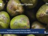 Coconut Promotion Scheme 2026: Strengthening India’s Coconut Sector Through Productivity – IMPRI Impact And Policy Research Institute WhatsApp Image 2026 09 11 at 1.18.01 PM
