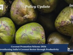 Coconut Promotion Scheme 2026: Strengthening India’s Coconut Sector Through Productivity – IMPRI Impact And Policy Research Institute WhatsApp Image 2026 09 11 at 1.18.01 PM