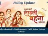 Madhya Pradesh’s Mukhyamantri Ladli Behna Yojana (2023) – IMPRI Impact And Policy Research Institute image2 1