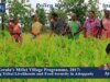 Kerala’s Millet Village Programme, 2017: Assessing Tribal Livelihoods And Food Security In Attappady – IMPRI Impact And Policy Research Institute 1000339371 200kb