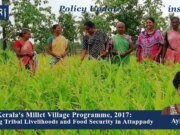 Kerala’s Millet Village Programme, 2017: Assessing Tribal Livelihoods And Food Security In Attappady – IMPRI Impact And Policy Research Institute 1000339371 200kb