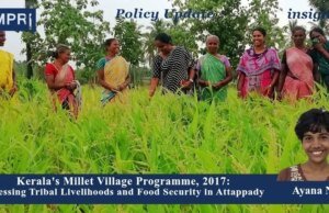 Kerala’s Millet Village Programme, 2017: Assessing Tribal Livelihoods And Food Security In Attappady – IMPRI Impact And Policy Research Institute 1000339371 200kb
