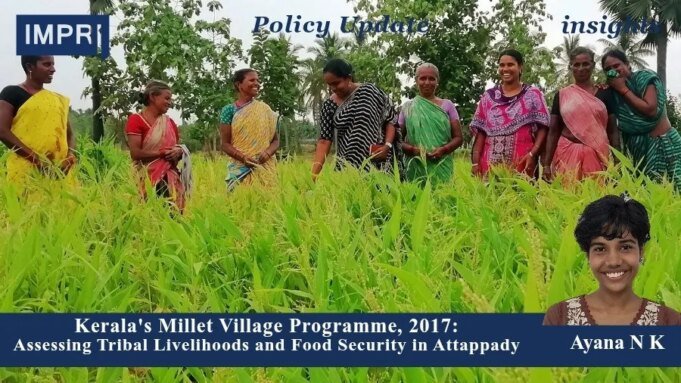 Kerala’s Millet Village Programme, 2017: Assessing Tribal Livelihoods And Food Security In Attappady – IMPRI Impact And Policy Research Institute 1000339371 200kb