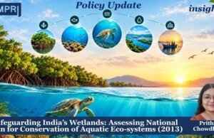 Safeguarding India’s Wetlands: Assessing National Plan For Conservation Of Aquatic Eco-systems (2013). – IMPRI Impact And Policy Research Institute safeguarding