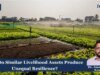 Why Do Similar Livelihood Assets Produce Unequal Resilience? – IMPRI Impact And Policy Research Institute WhatsApp Image 2026 10 14 at 9.09.04 PM 1